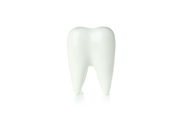 Foto dente de conceito de cuidados com os dentes isolado no fundo branco