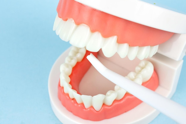 Dentes falsos com irrigador de cavidade oral que limpa os dentes maxilares Instrumentos de odontologia e conceito de check-up de higienista dental