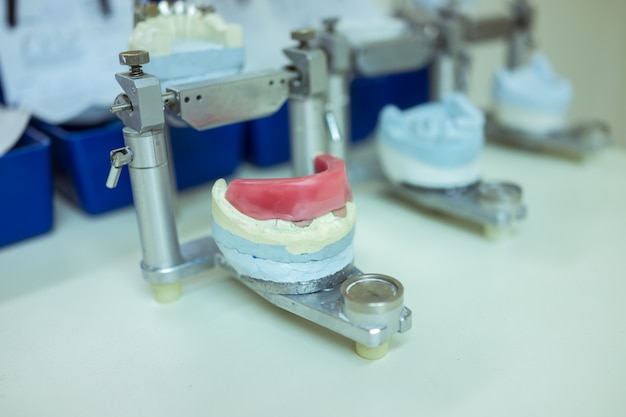 Dentes falsos em laboratório esperando para secar