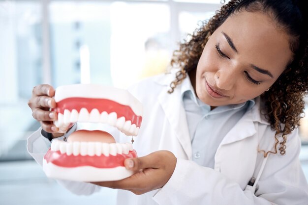 Foto dentes modelo de saúde e dentista na clínica para clareamento dental de bem-estar e cuidados bucais consulta médica odontológica e ortodontista com molde para dentaduras e aparelhos de higiene bucal