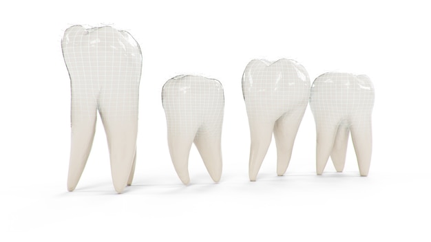 Dentes protegidos saudáveis isolados no fundo branco. Conjunto de dentes.