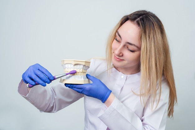 Foto dentista chica tiene un modelo volumétrico de dientes en sus manos