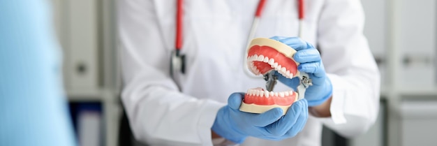 El dentista en la clínica dental muestra una hermosa mandíbula con dientes rectos a los implantes dentales del cliente