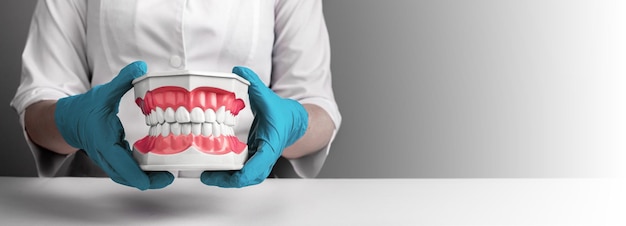 Dentista com fundo de banner de anúncios de modelo de dentes limpos e saudáveis para saúde odontológica