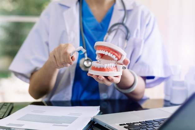 Dentista concentrado, sentado à mesa com modelo de dente de amostras de mandíbula e trabalhando com tablet e laptop em consultório odontológico clínica dentária profissional.