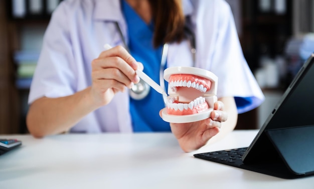 Dentista concentrado sentado a la mesa con muestras de mandíbula modelo de diente y trabajando con tableta y computadora portátil en consultorio dental clínica dental profesionalxA