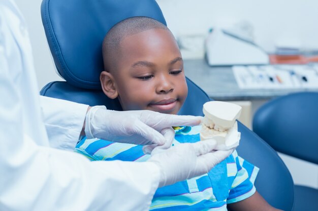 Dentista cosechado que muestra dientes de la prótesis del muchacho