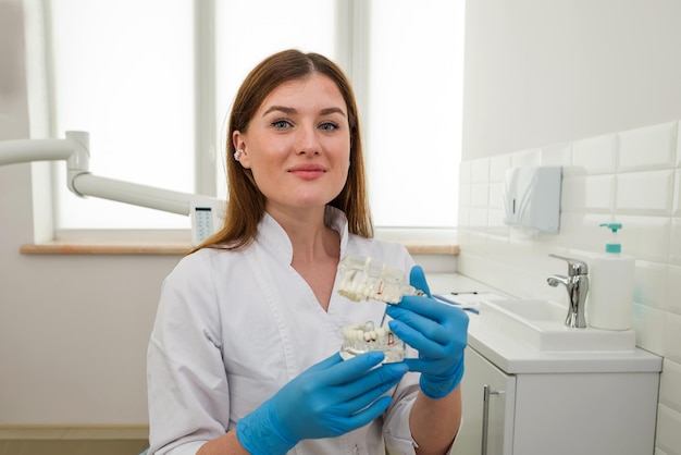 Dentista de mulher bonita mostrando mandíbula artificial no consultório odontológico