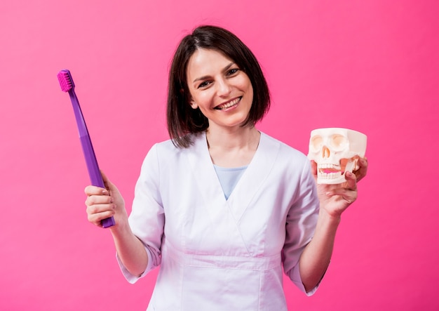 Dentista escovando os dentes de um crânio artificial com uma escova de dentes grande