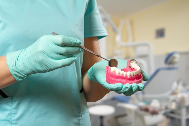 Dentista con espejo bucal y disposición de la mandíbula humana