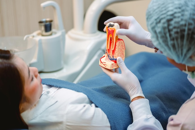 Dentista examinando pacientes com dentes na clínica para uma melhor saúde bucal e um sorriso brilhanteMédico mostrando um modelo de dente explicando sobre um canal radicular Ferramentas e equipamentos de dentista