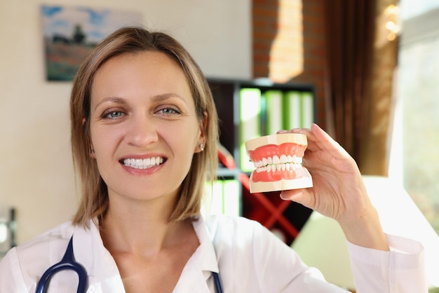 La dentista feliz sonríe y sostiene mandíbulas de plástico en sus manos cerca de la estomatóloga