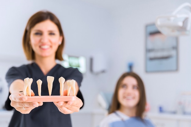 Dentista feminina mostrando diferentes tipos de modelo de dentes na clínica odontológica