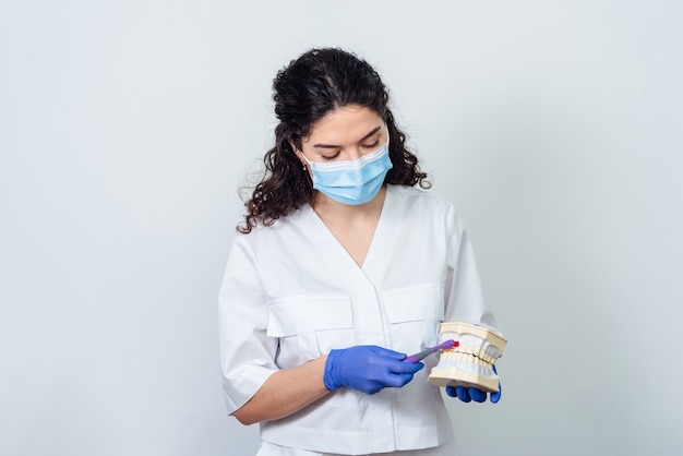 Foto dentista feminina segura um modelo volumétrico de dentes nas mãos