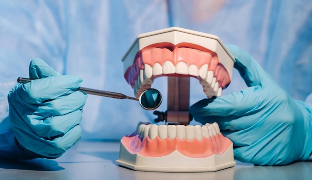 Un dentista con guantes azules y una máscara sostiene un modelo dental de los maxilares superior e inferior y un espejo dental.