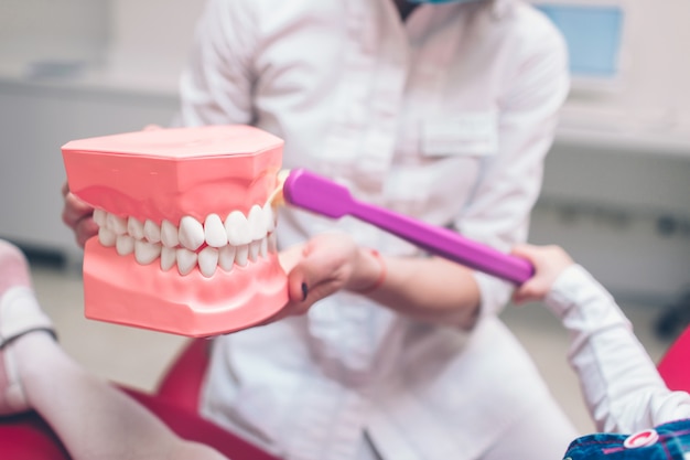 Dentista con guantes que muestra en un modelo de mandíbula cómo limpiar los dientes con un cepillo de dientes correctamente y correctamente