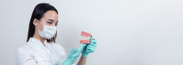 Dentista médica com um jaleco branco faz uma simulação de dentes.