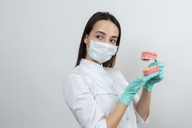 El dentista médico de la muchacha en una bata blanca tiene una simulación de los dientes.