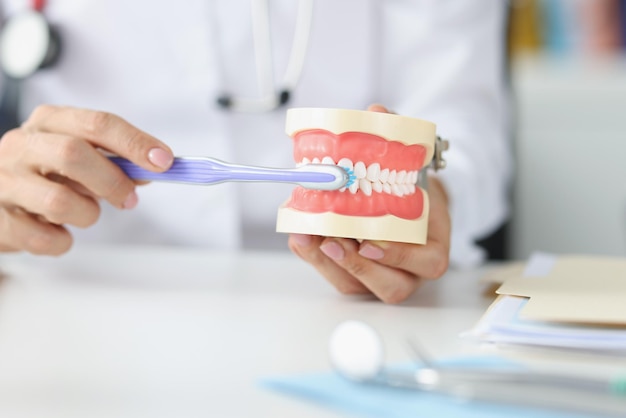Dentista mostra o modelo correto de dentes e escova de dentes, cuidados orais e lição de escovação para o paciente