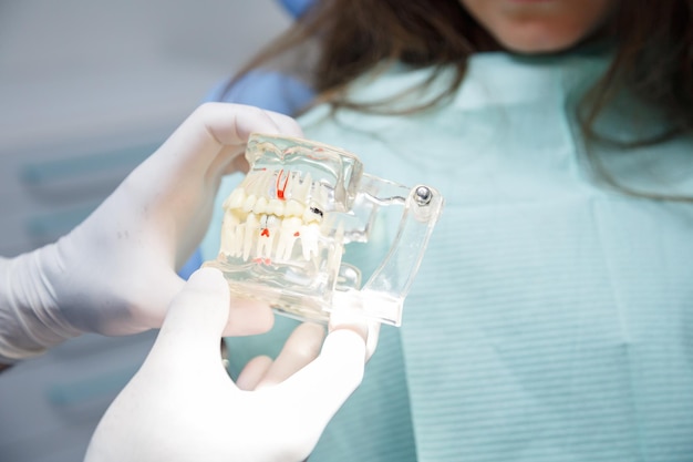 Dentista mostrando a técnica de limpeza dos dentes ao cliente.