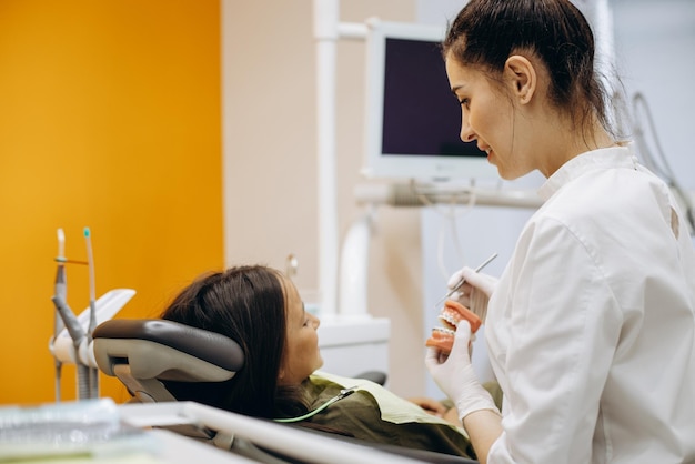 Dentista mostrando aparelho no maxilar falso para um paciente infantil