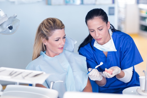 Dentista mostrando o modelo paciente de dentes