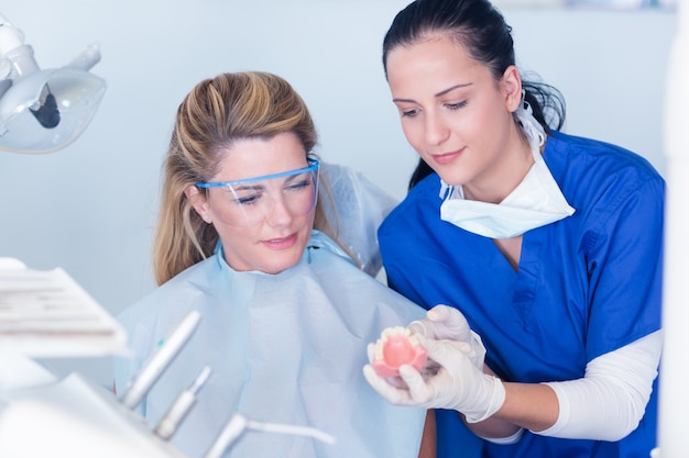 Dentista que muestra paciente modelo de dientes