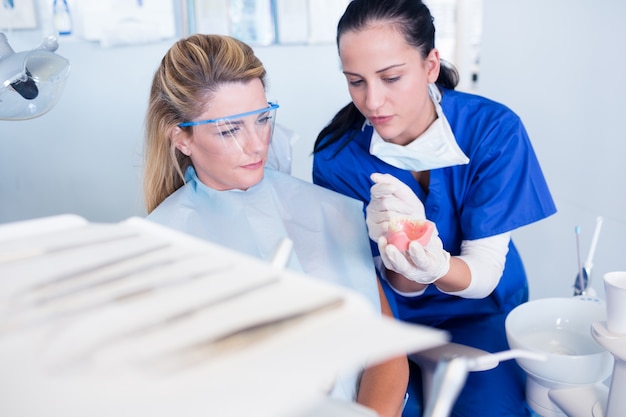 Dentista que muestra paciente modelo de dientes