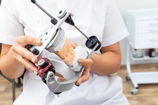 Dentista segurando articulador odontológico com modelo de prótese de gesso em laboratório odontológico