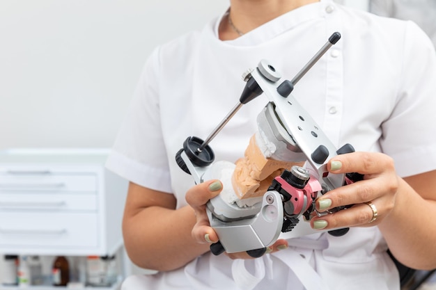 Dentista segurando articulador odontológico com modelo de prótese de gesso em laboratório odontológico