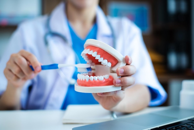 Dentista sentado à mesa com modelo de dente de amostras de mandíbula e trabalhando com tablet e laptop no consultório odontológico clínica odontológica profissional médico trabalhando