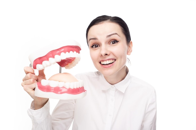 una dentista sonriente con una camisa blanca sostiene una mandíbula grande con dientes en las manos de fondo blanco