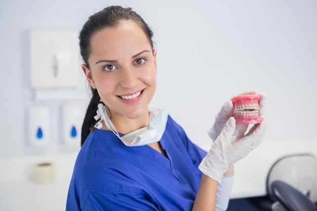 Dentista sorridente que mostra um modelo