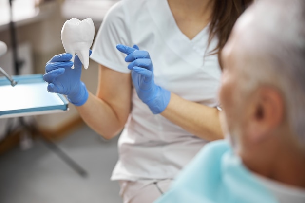 dentista sosteniendo un gran modelo blanco de un diente mientras se lo muestra a un paciente mayor