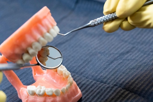 Foto el dentista tiene dentaduras postizas en sus manos.