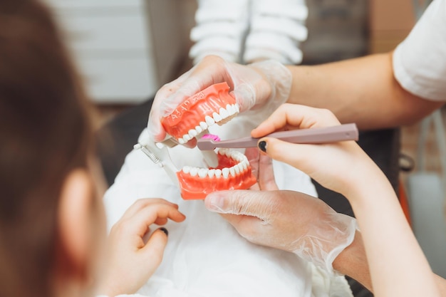 Un dentista con uniforme médico le muestra a una niña cómo cepillarse los dientes correctamente en un modelo de mandíbula Concepto de odontología