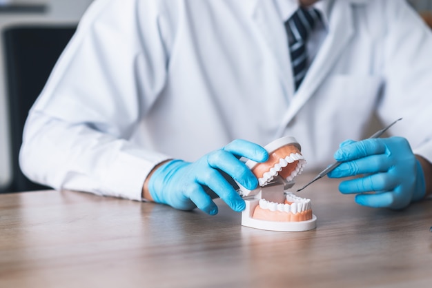 Dentista usando modelo de mandíbula de diente