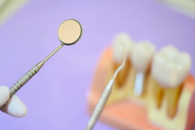 Los dentistas examinan los modelos dentales en la clínica para obtener un tratamiento eficaz y mejorar la salud dental del paciente y sus sonrisas brillantes.