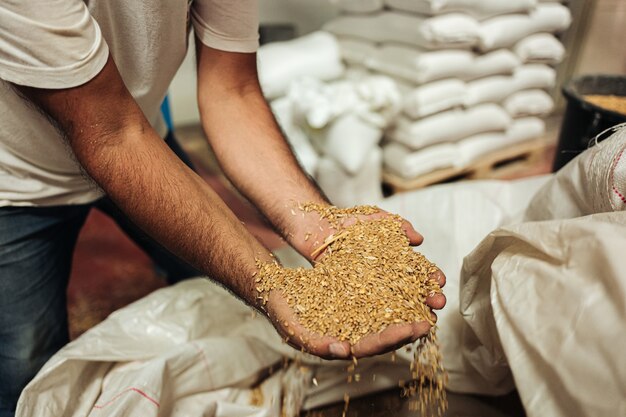 Foto dentro de um antigo moinho de trigo produzindo farinha