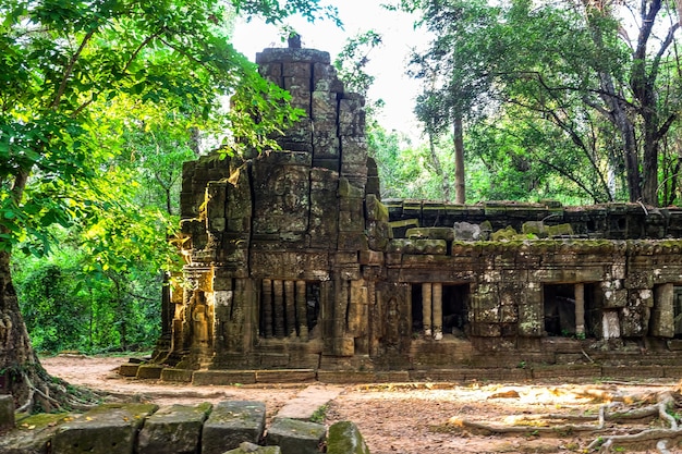 Dentro del templo de Ta Prohm