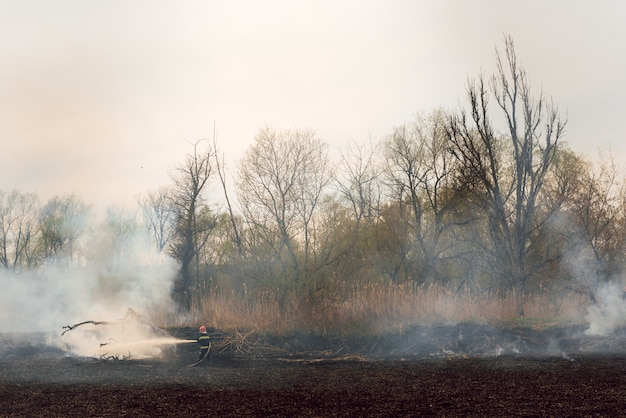 Departamento de bomberos en acción, luchando contra el fuego. Las altas temperaturas del verano producen fuego