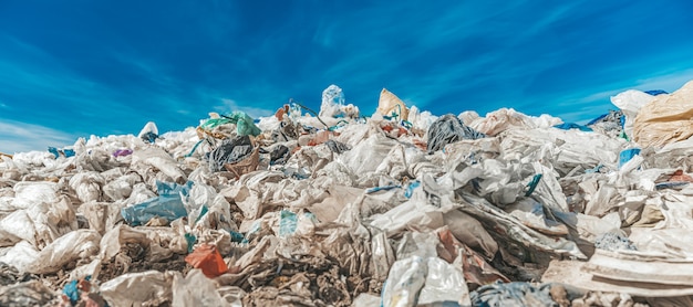 Deponierung von Siedlungsabfällen in Natur, Umweltschutz, Ökologie