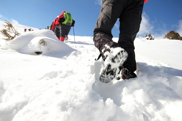 Deportes de invierno Montañismo Actividades en grupo