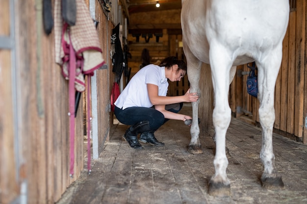 Deportista bastante joven en jeans ajustados y camisa blanca con cepillo para limpiar las piernas del caballo de carreras