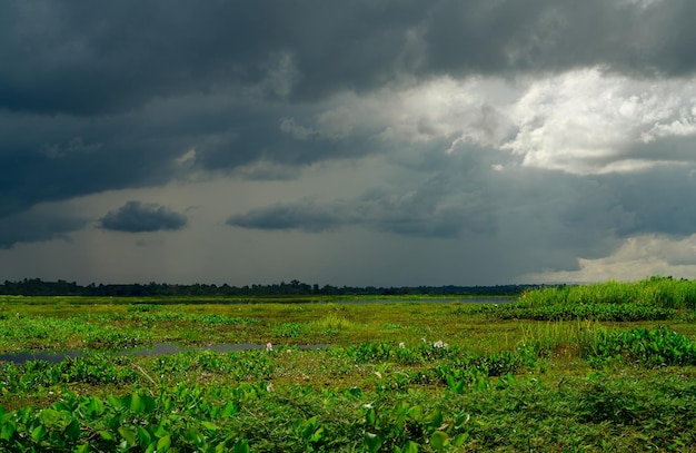 Depósito de agua natural Sostenibilidad del agua Paisaje de campo de hierba verde y cielo nublado Fresco