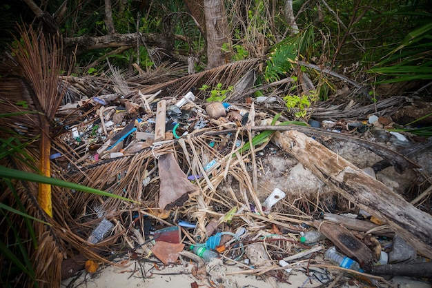 Depósito de basura Ramas de madera