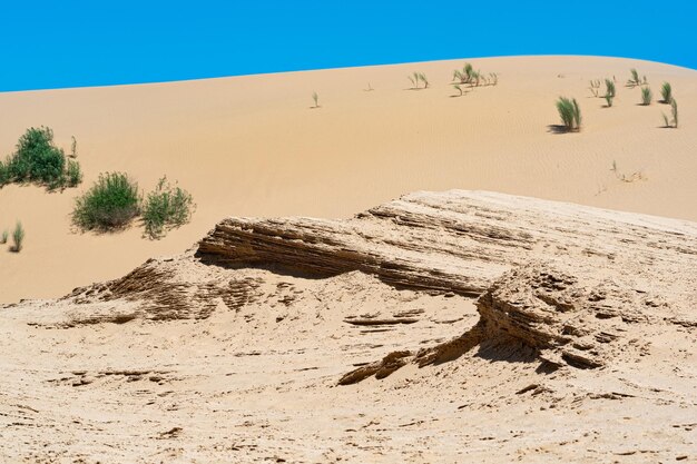 Depósitos em camadas da paisagem do deserto no deserto arenoso