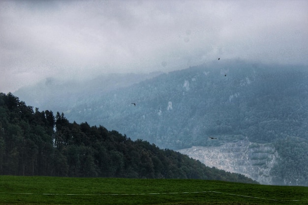 Foto depressão da paisagem