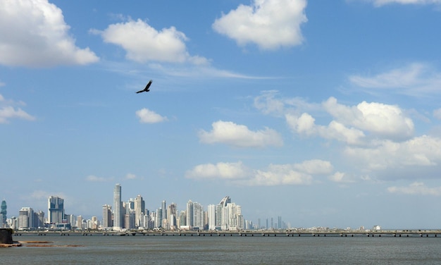 Der Adler kreist hoch am blauen Himmel vor der Kulisse der Stadt