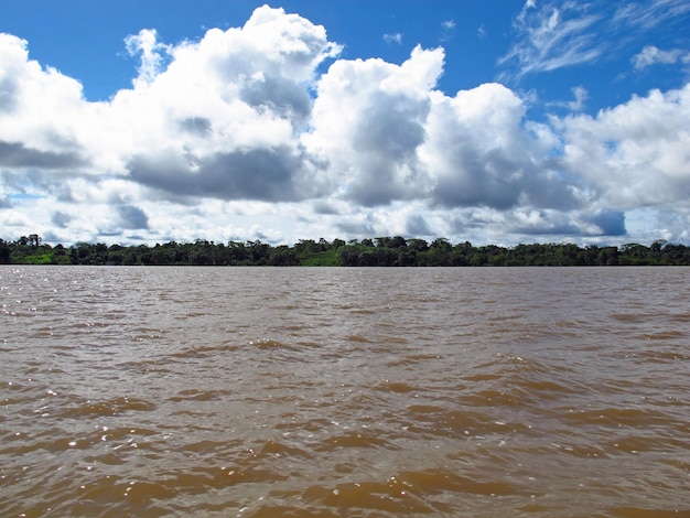 Der Amazonas in Peru Südamerika